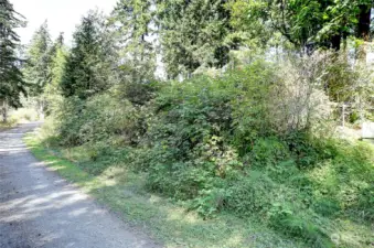 west side of property