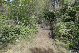 Path at northwest end of property