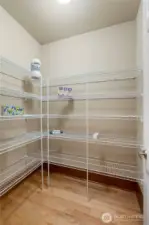 Oversized kitchen pantry with shelving.