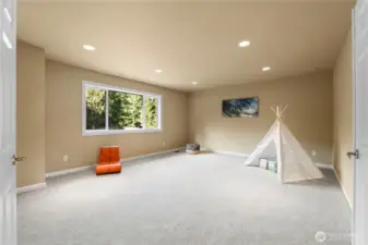 Large Bonus Room