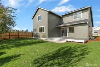 Back yard