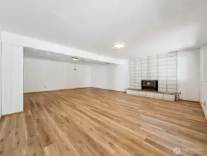 Basement rec room