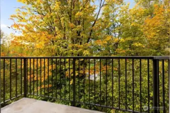 Your view from the deck...