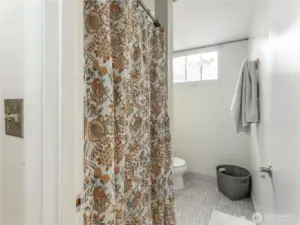 lower level bathroom