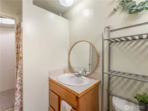 lower level bathroom with step in shower