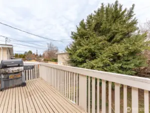 View of private backyard from deck.