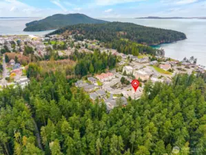 Tucked into a peaceful setting surrounded by protected forest, this location offers a natural backdrop of mature Pacific lowland forest with Douglas fir and cedar trees, creating a serene and private environment.