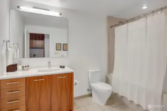 Guest suite's bathroom