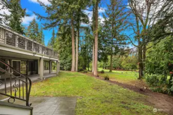 Outdoor area in rear yard