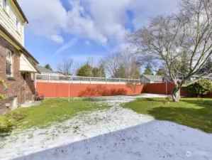 The large, fully fenced backyard.