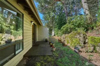 Another view of backyard.