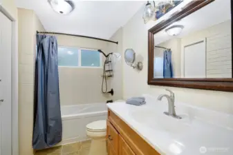 Lower level full bath