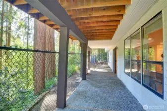 Back patio off lower level