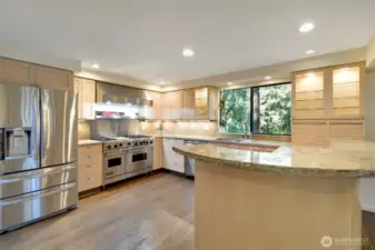 Professional Chef's Kitchen w/Viking Stove & Oven, granite counter tops