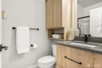 downstairs guest en suite