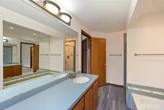 primary bath