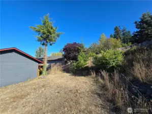 Terraced Backyard