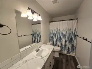 Downstairs Bathroom
