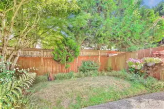The fully fenced yard keeps fido safe