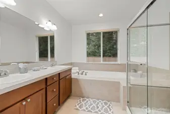 Elegant 5 piece bath with tile accents