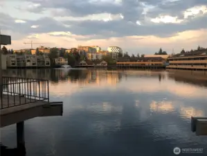 Looking North across Lake Bellevue showing Spring Distrct across the street.  Branded photo from Michael J Link files