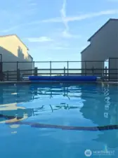 View from community pool looking out onto Lake Bellevue