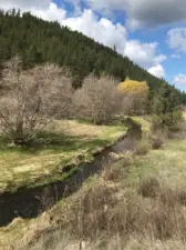 Over 4000 feet of Hawk Creek Running through property. Beautiful creek that runs year around. Approximately  1000 board feet of timber on the Ranch.