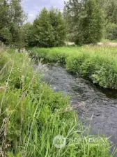 Over 4000 feet of Hawk Creek Running through property