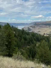 Looking into the timber towards one of the main game trails