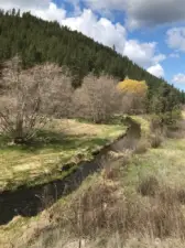 Over 4000 feet of Hawk Creek Running through property. Beautiful creek that runs year around. Approximately  1000 board feet of timber on the Ranch.
