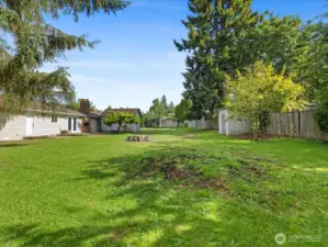 Expansive back yard