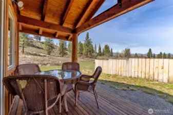 Mountain views from the covered back porch.