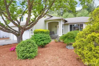 Wood chip bark in front yard; easy maintenance!