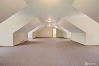 Large Bonus Space with Endless Possibilities.