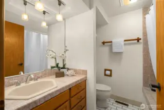 Full Guest Bathroom