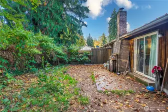 A durable patio surface runs along the back of the home, offering a spot for outdoor dining, lounging, and effortless access between inside comfort and outside fun.