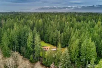 Tucked in the trees with total privacy, but enough clearing to bring in great light.