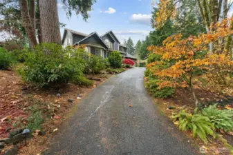 Your long driveway up offering amazing privacy, and on one of Olympias most BEAUTIFUL streets.