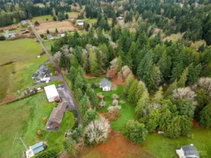 The house and it's peaceful surroundings. Bonnieview Lane sits to the left of the picture.