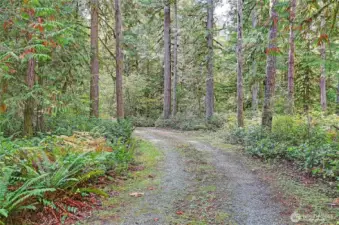 Private circular driveway leads to this fantastical property!