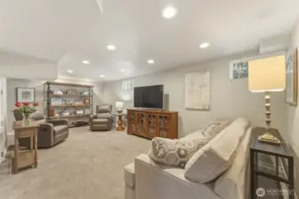 Basement family room