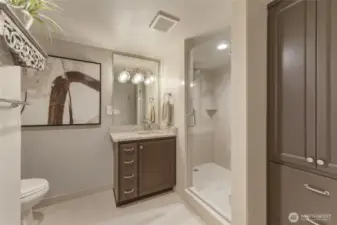 Basement bathroom