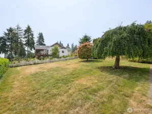 Gorgeous large lot!