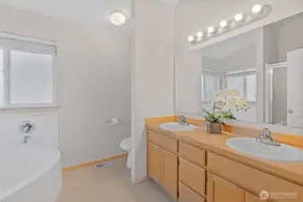 Primary bathroom