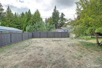 Front yard, with fruit trees, mature trees, level lot, so much potential!
