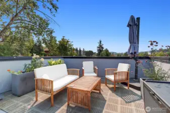 The sunny roof deck is great for container gardening and entertaining friends.