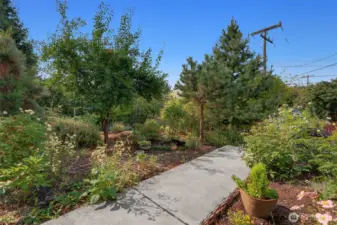 Front walkway