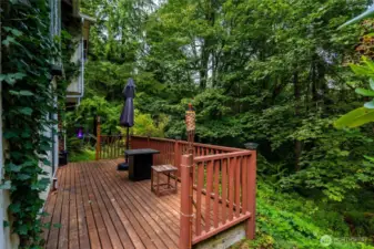 One of two decks off of home.