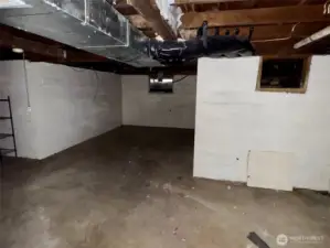 Unfinished Basement