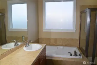 Ensuite with Bathtub